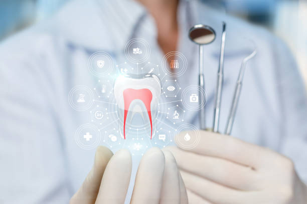 Professional Dental Services in South Palm Beach, FL